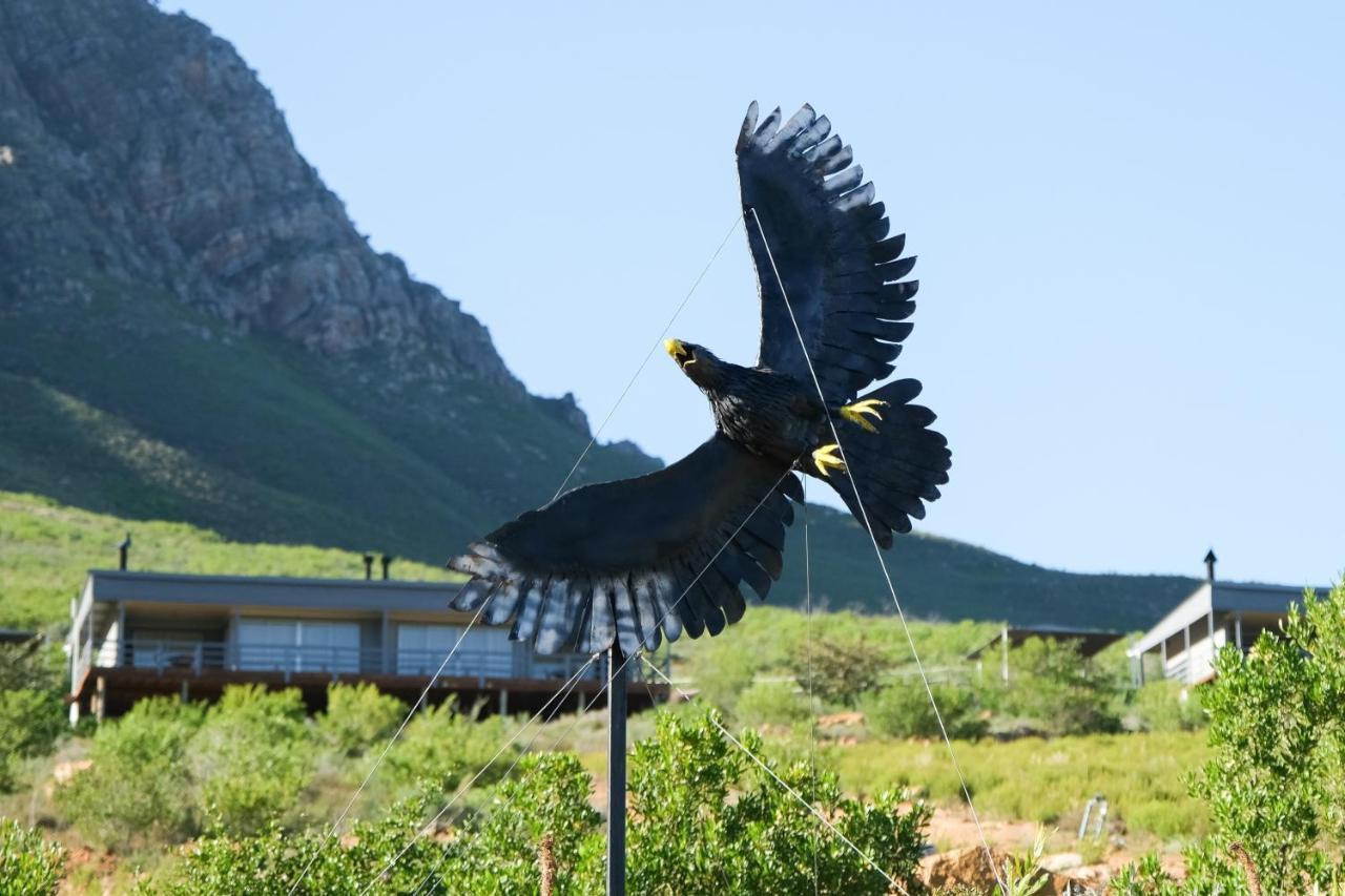Big Sky Cottages Wolseley Esterno foto
