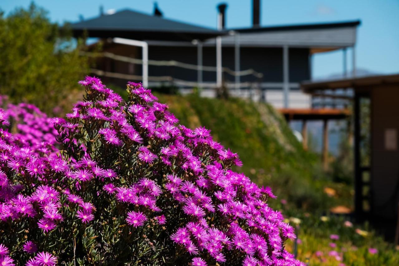 Big Sky Cottages Wolseley Esterno foto