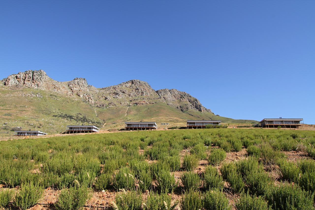 Big Sky Cottages Wolseley Esterno foto